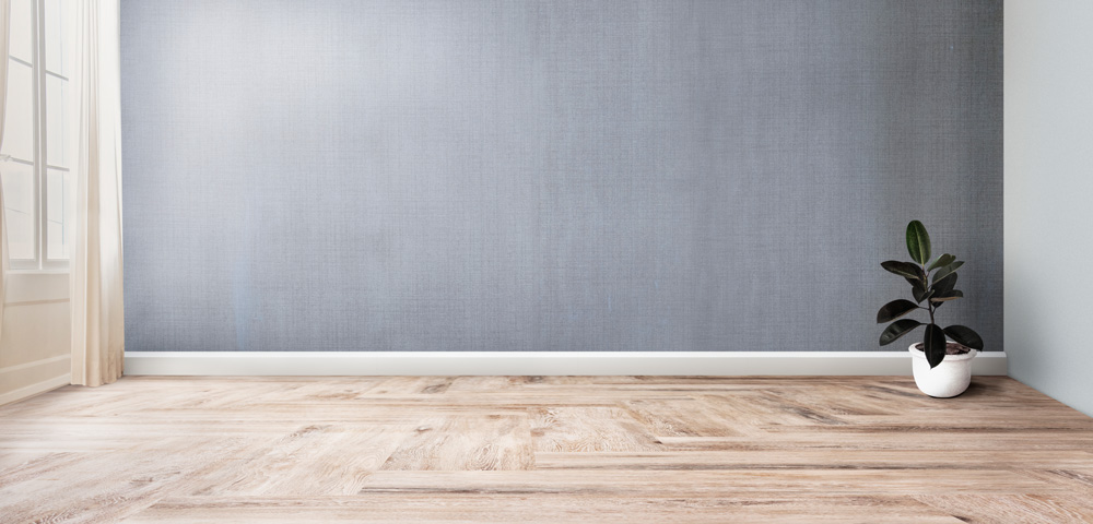 Plant in an empty room with gray wall mockup